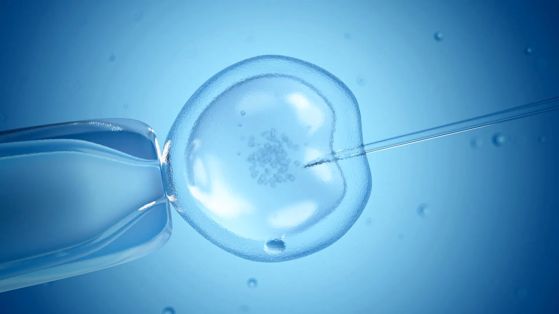 A micropipette injecting a single cell under a microscope